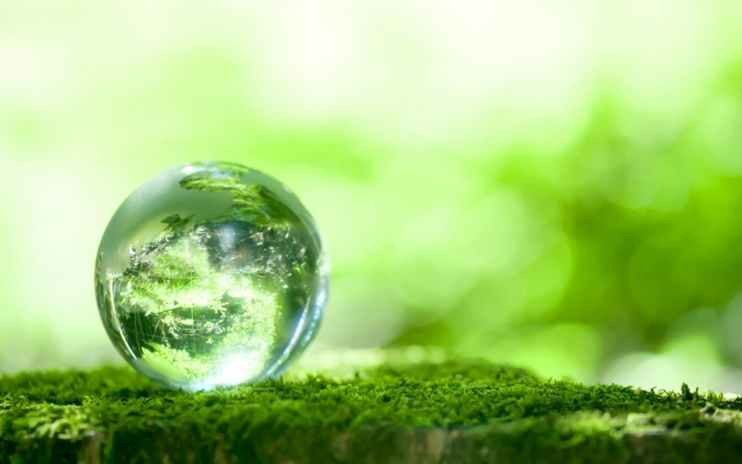 Sustainability Competition 2016 Review